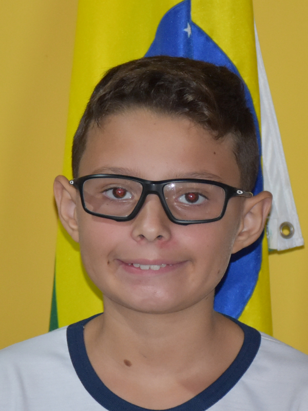 Matheus Rowe Ferreira de Lima